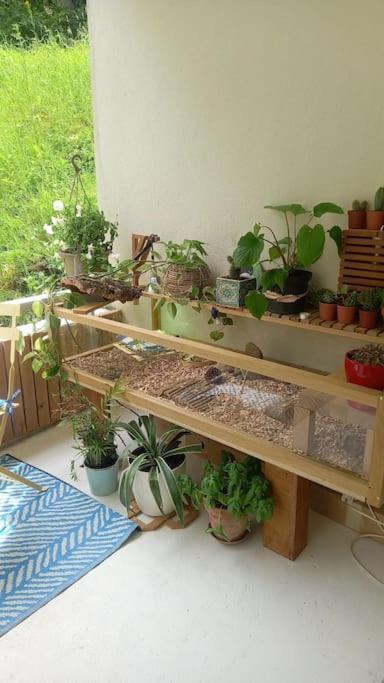 Appartamento Le Doubs Cosy Besançon Esterno foto