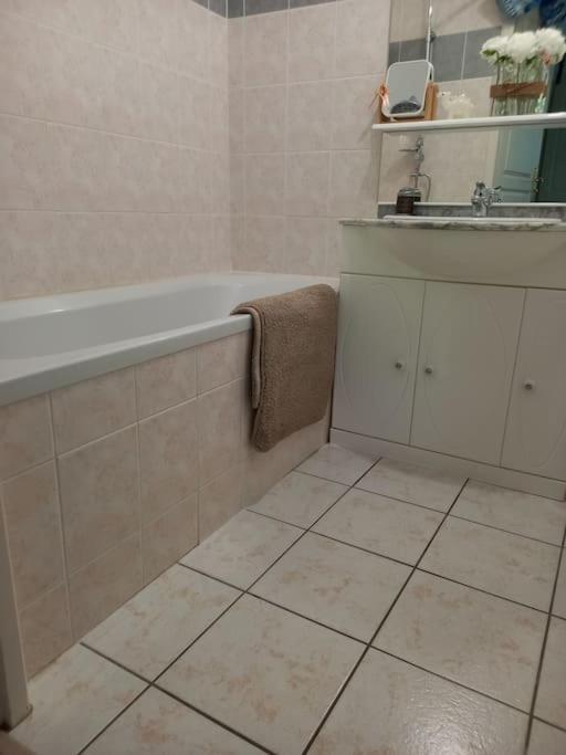 Appartamento Le Doubs Cosy Besançon Esterno foto