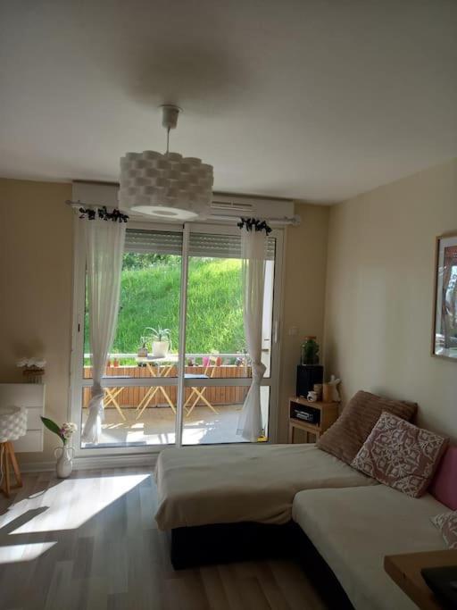 Appartamento Le Doubs Cosy Besançon Esterno foto