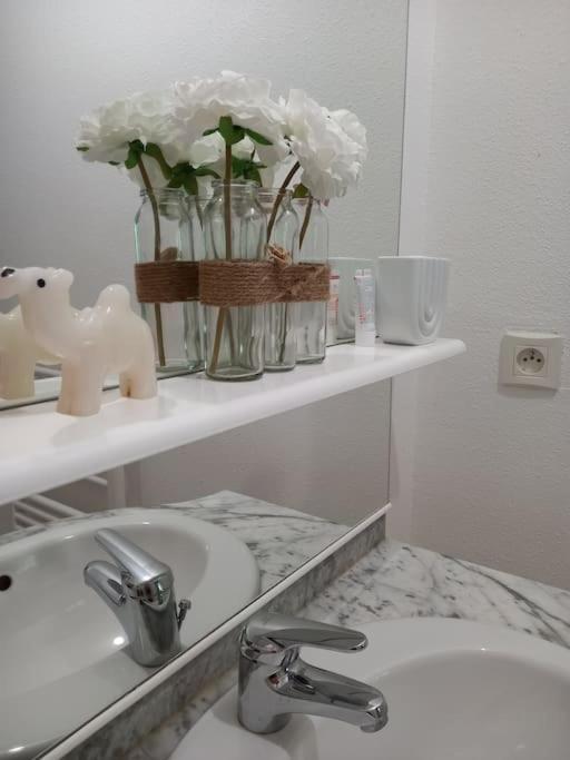Appartamento Le Doubs Cosy Besançon Esterno foto