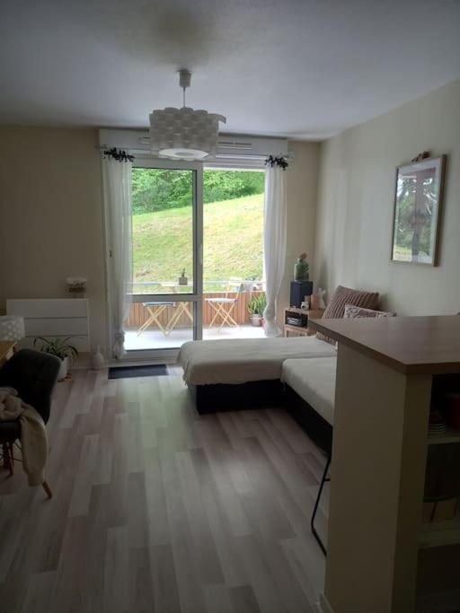 Appartamento Le Doubs Cosy Besançon Esterno foto