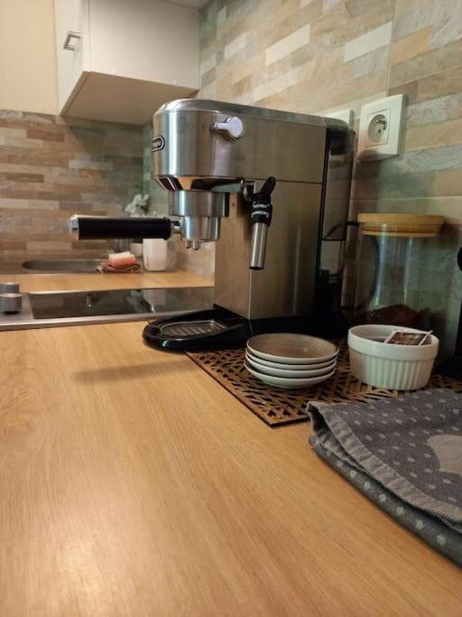 Appartamento Le Doubs Cosy Besançon Esterno foto